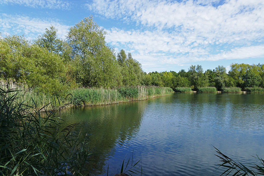 Bedfont lakes and country park