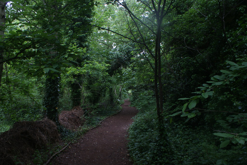 A narrow dirt path winding through dense green woodland with trees and shrubs on both sides.
