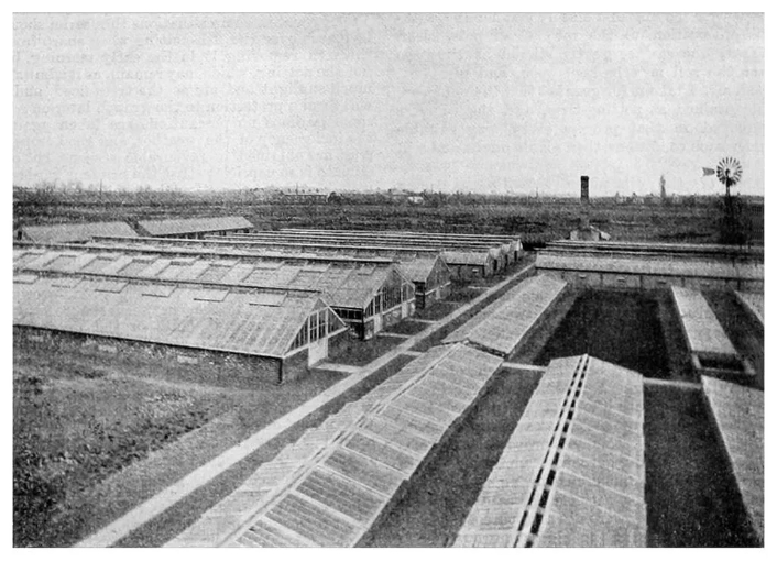 Wind pump veitch nursery bedfont lane