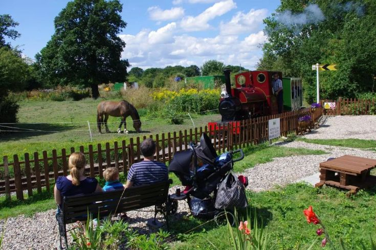 A family sitting on a bench watching a small red steam train pass by a horse in a grassy field on a sunny day.